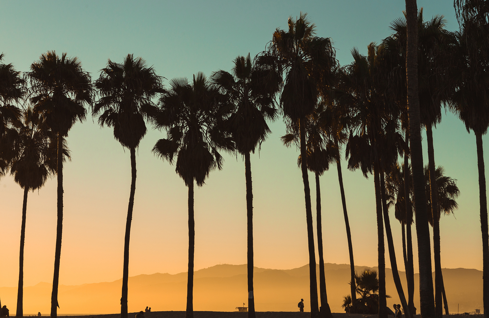 venice-beach-california-usa