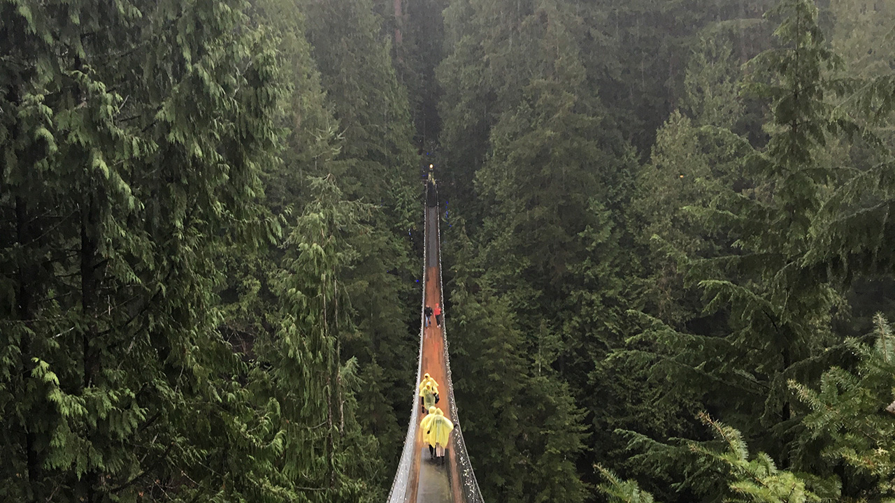 Suspension bridge in Vancouver