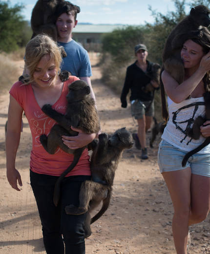 Vrijwilligers met aapjes rond hun in Namibië