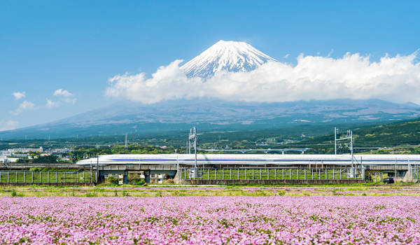 Japan Rail Pass Fuji Train Field