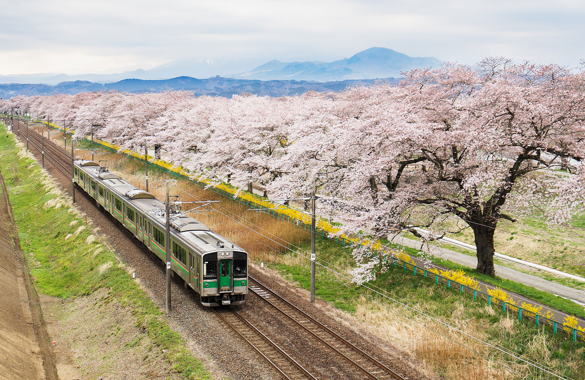 Treinreizen Japan | KILROY