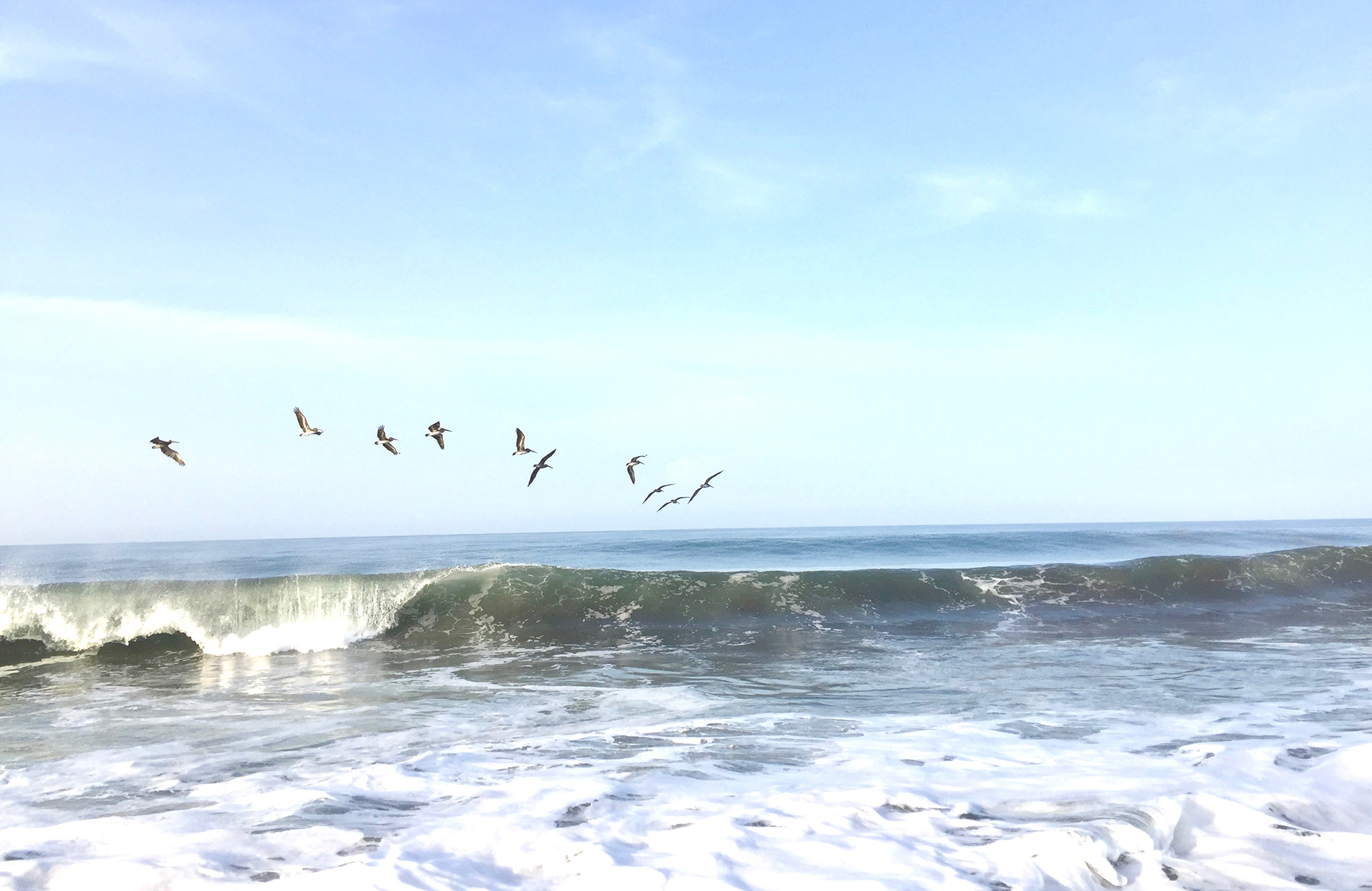 Golven en vogels aan het strand van Monterrico in Guatemala, Midden-Amerika