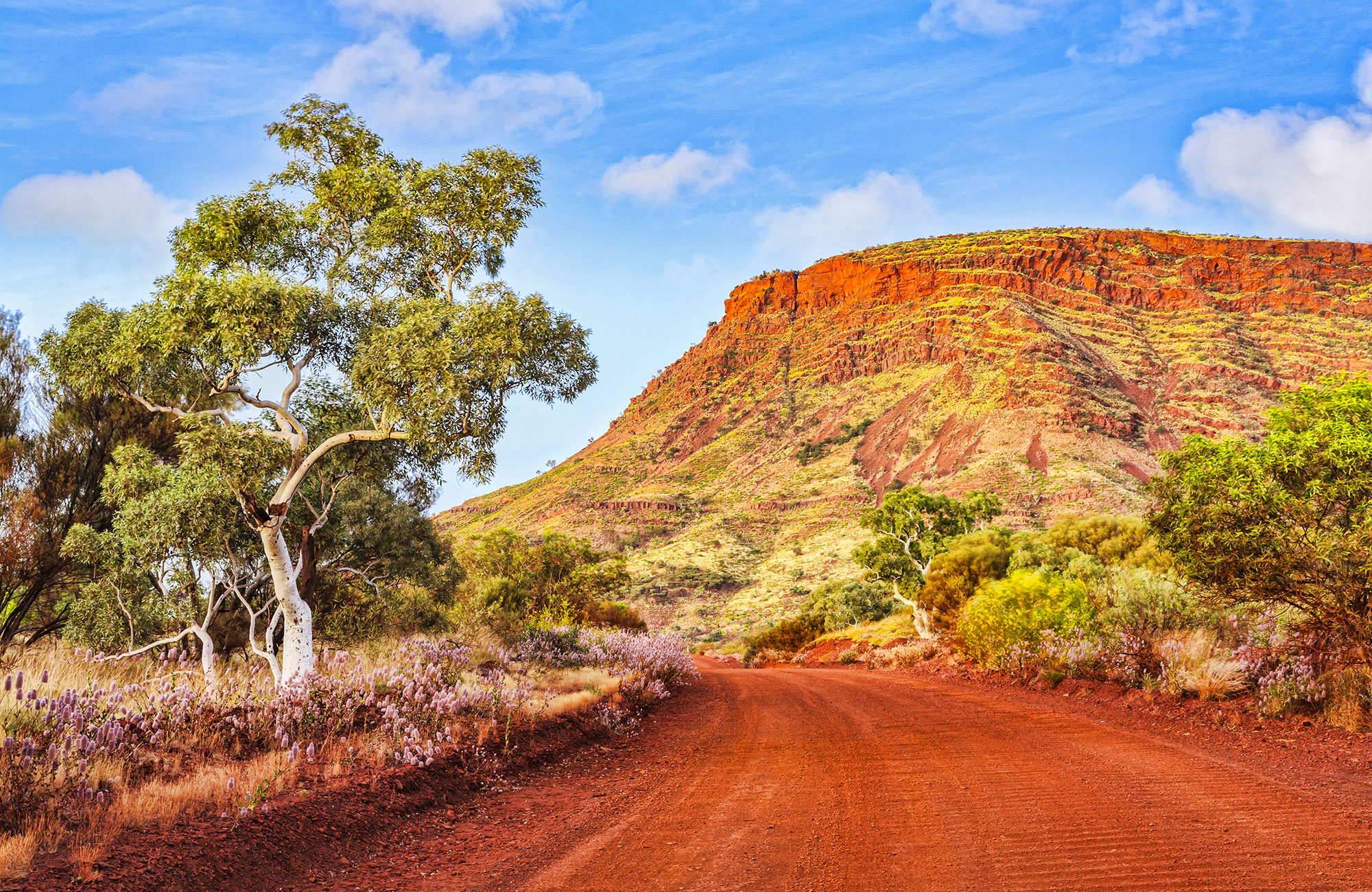 Rijdt met de Chubby Camper door Australië | Camperhuur Australië | KILROY