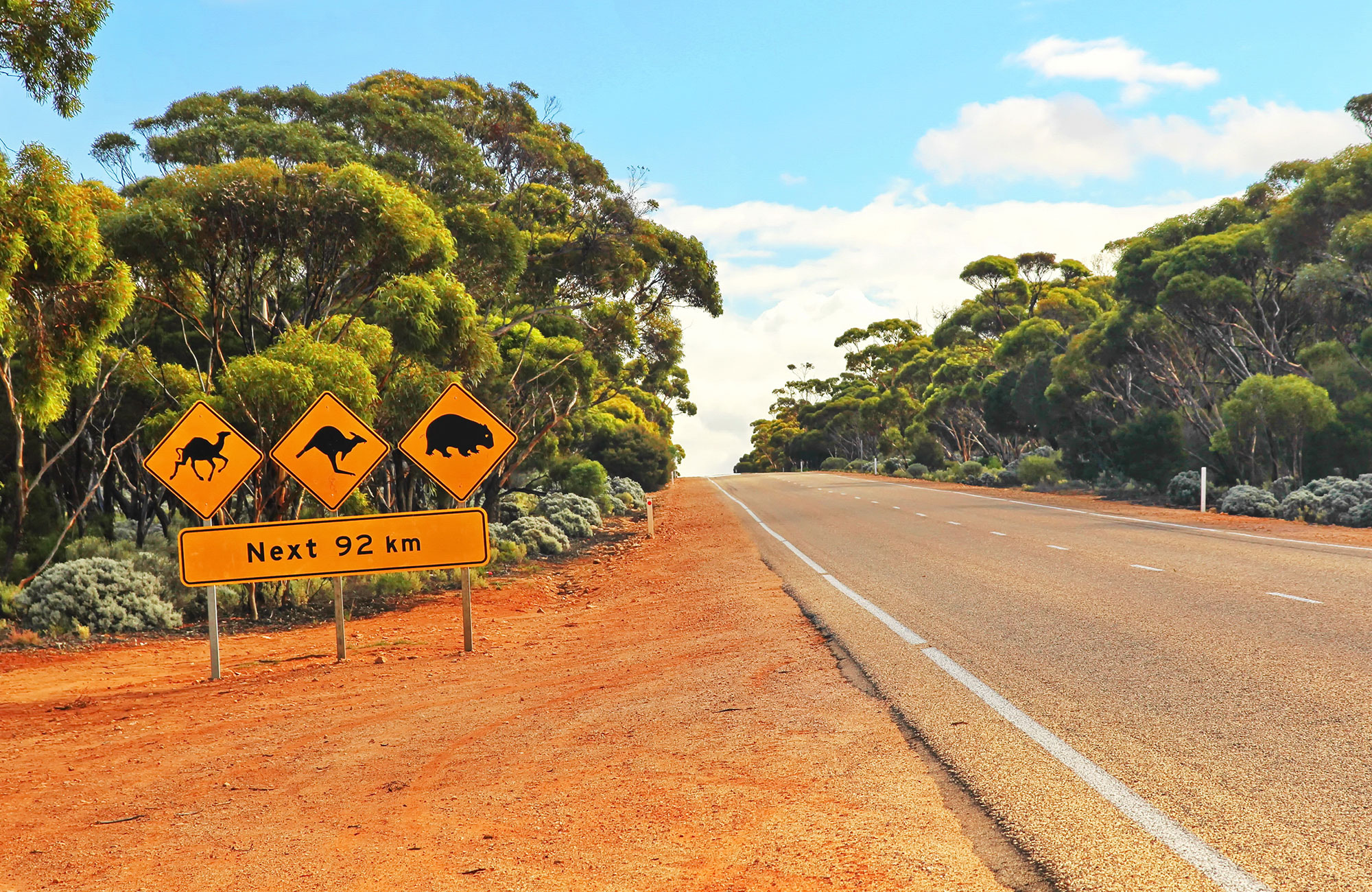 Australia Roadtrip Scenic Header Wildlife Road Sign