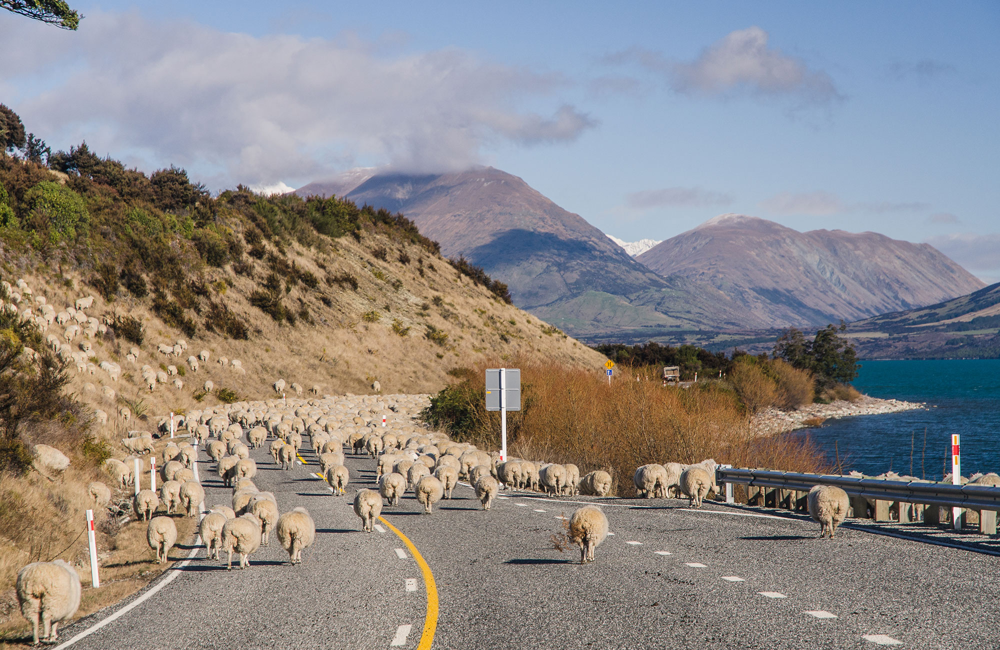 Lege weg door heuvelachtig terrein, met aan beide kanten bomen.
