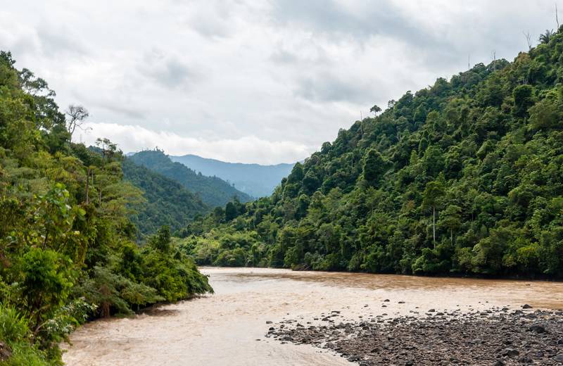 Bruine rivier omgeven door weelderige jungle en bewolkte luchten in Maleisië.