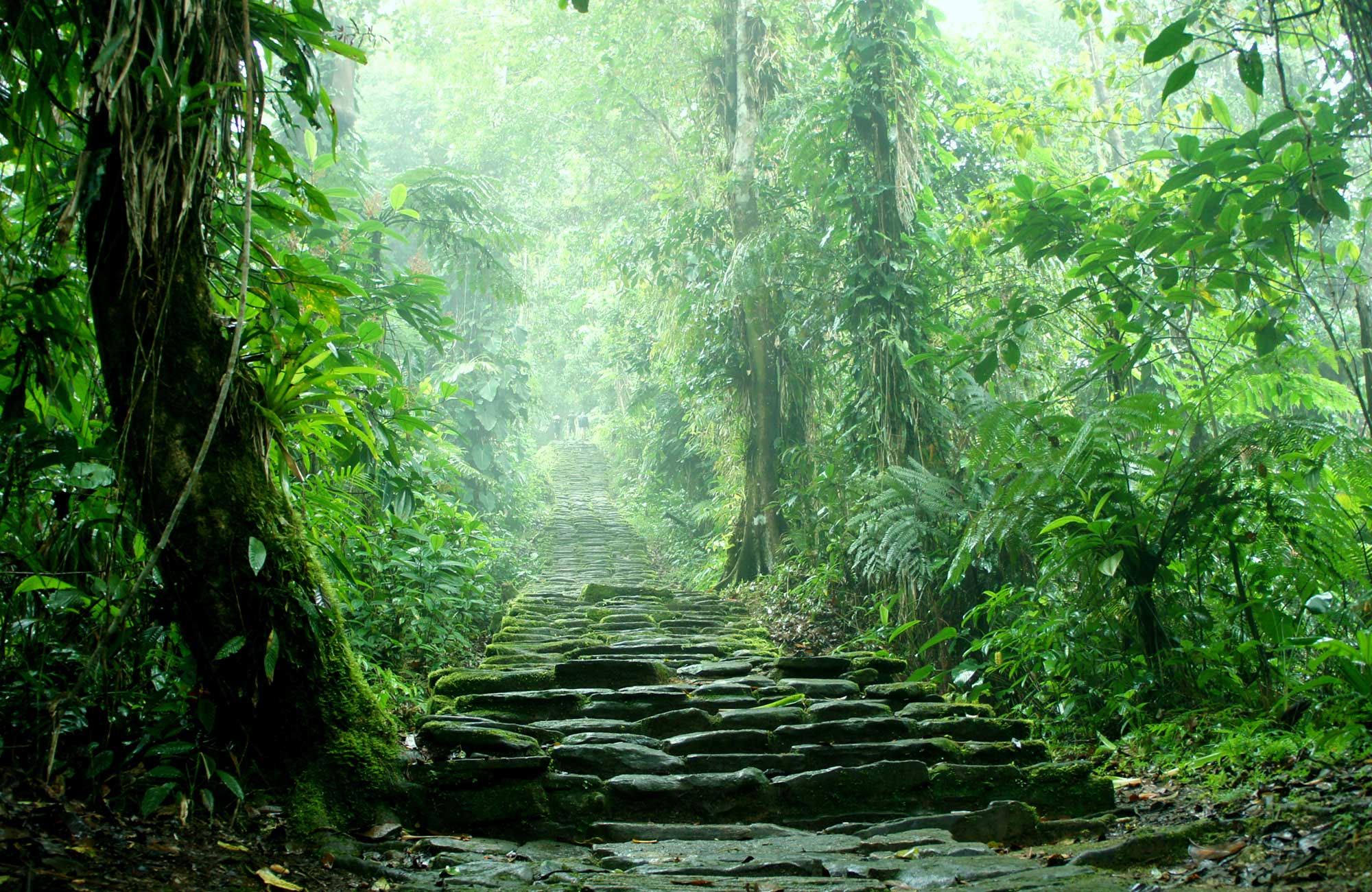 Colombia Lost City Street Cover