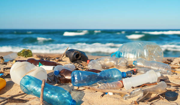 Volunteer Plastic