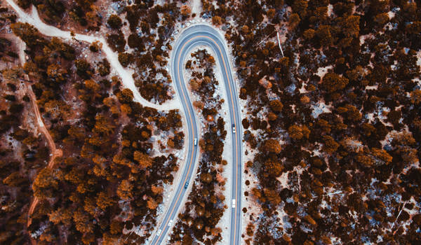 Bended Road Through Winter Forest In The USA