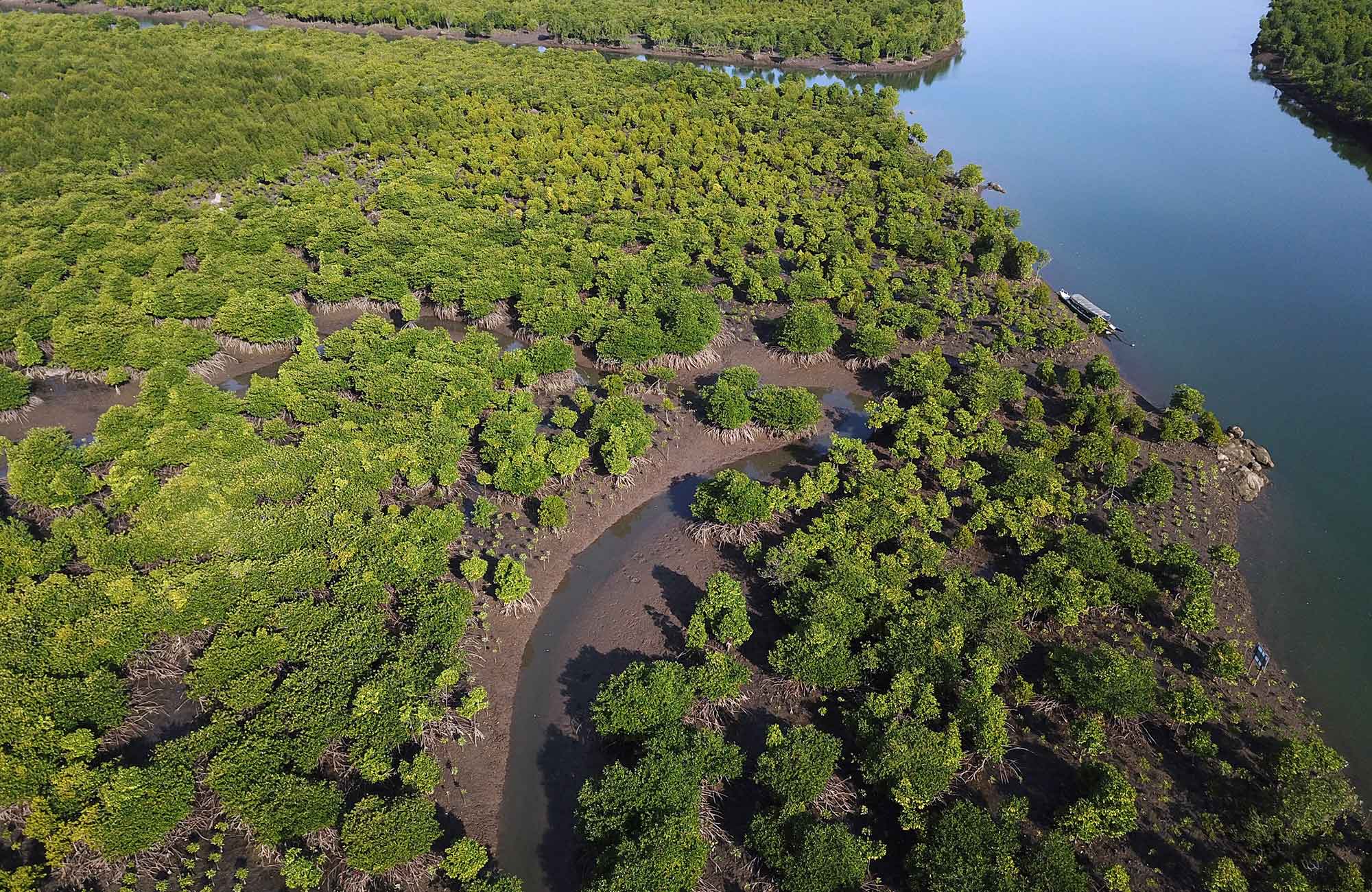 Myclimate Myanmar Initiative Mangroves From Above Cover