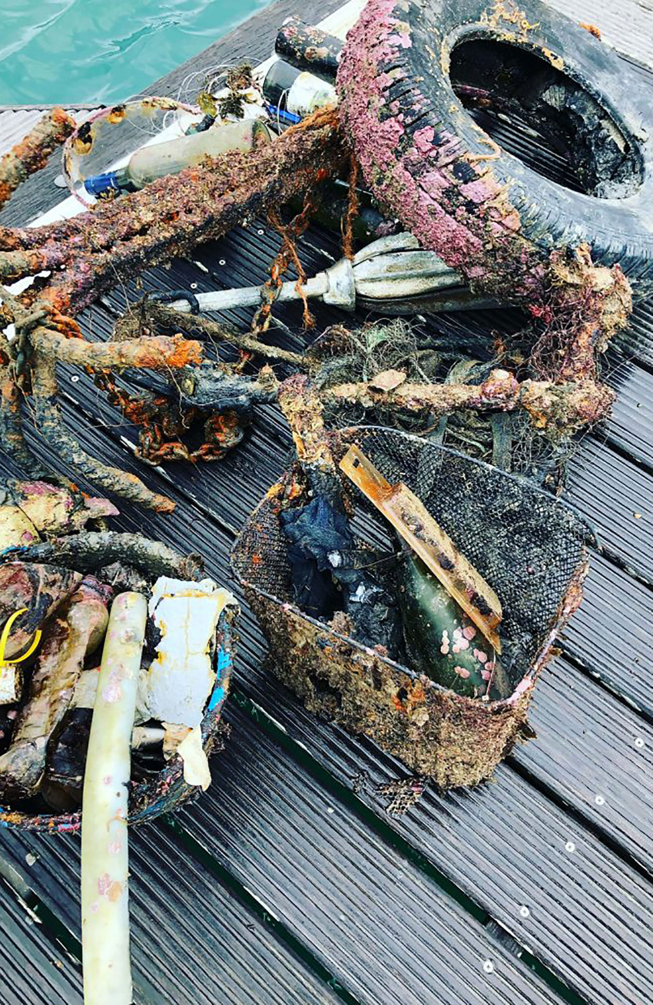 vrijwilligerswerk in Portugal