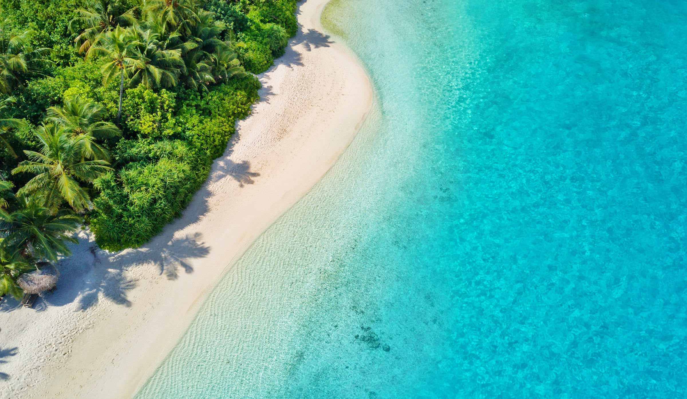Strand met groene natuur en helderblauwe zee voor de Malediven