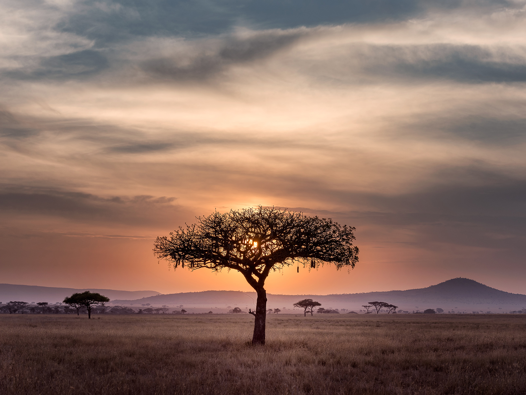 Tanzania Serengeti Sunset