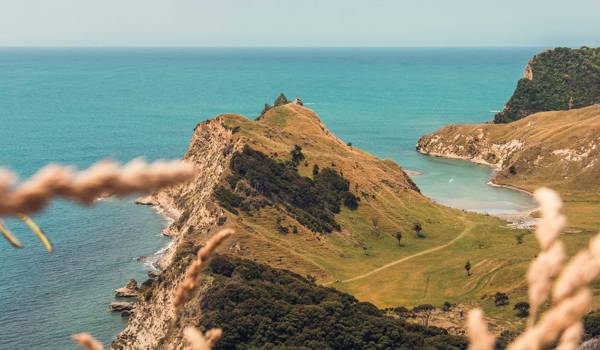 New Zealand Cooks Cove Gisborne
