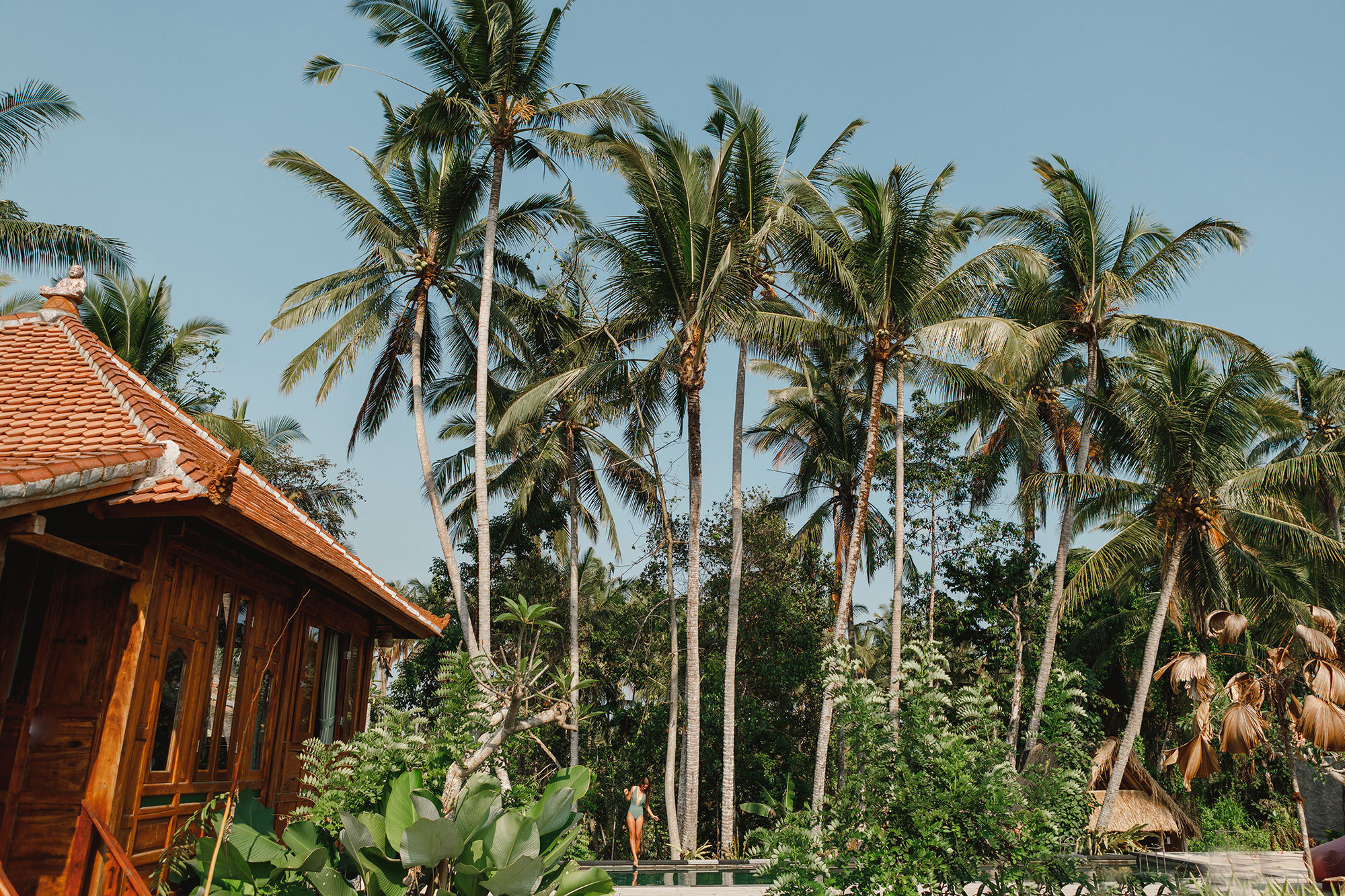 Huis in Ubud, Bali, omringd door palmbomen