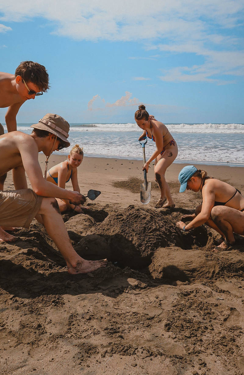 Volunteers working at the Jakera turtle conservation project in Santa Teresa, Costa Rica