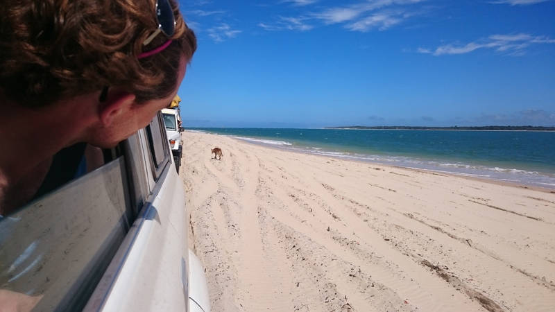 Road trip on the beach on Fraser island in Australia