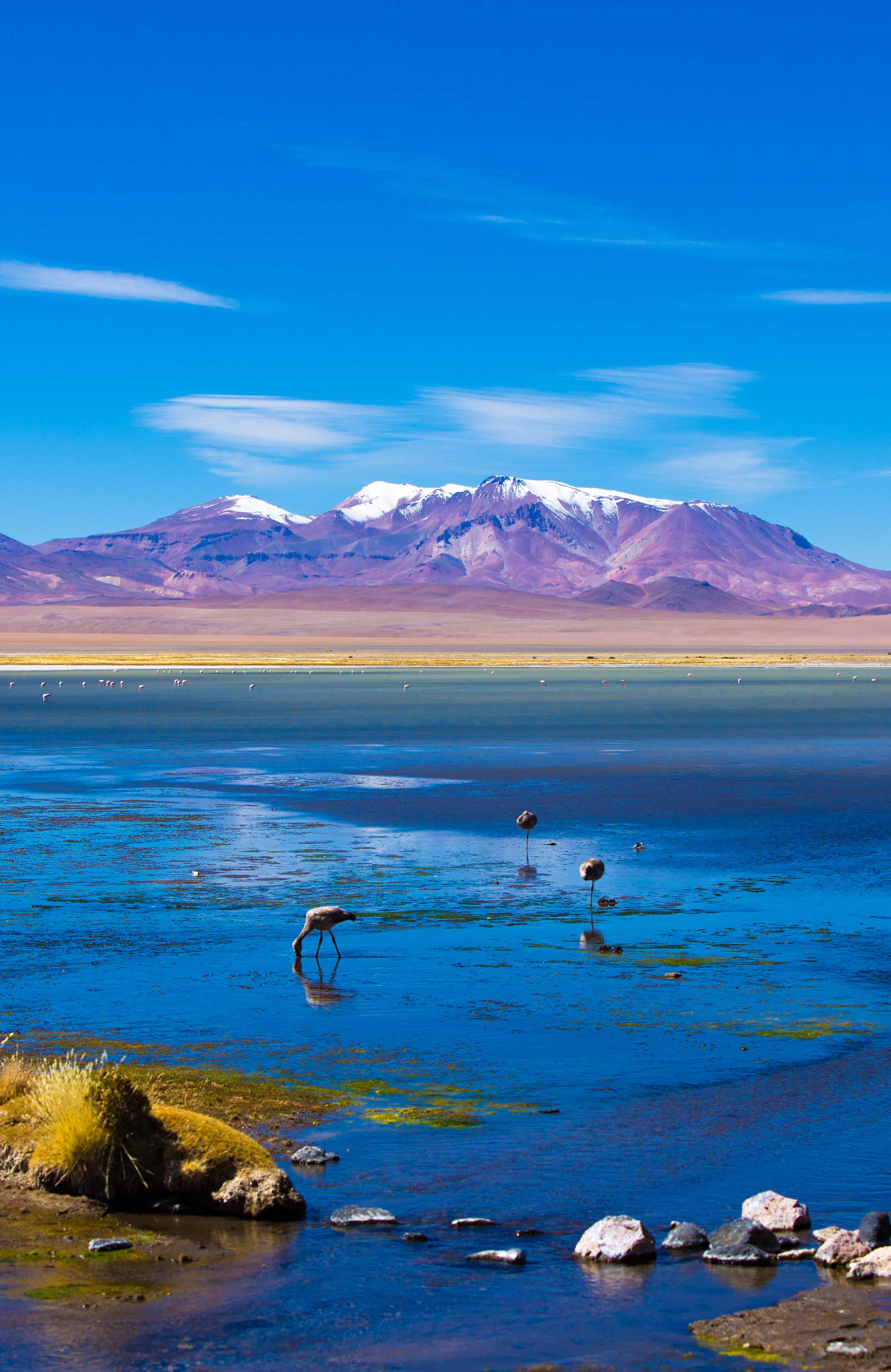 Reizen naar San Pedro de Atacama in Chili met KILROY