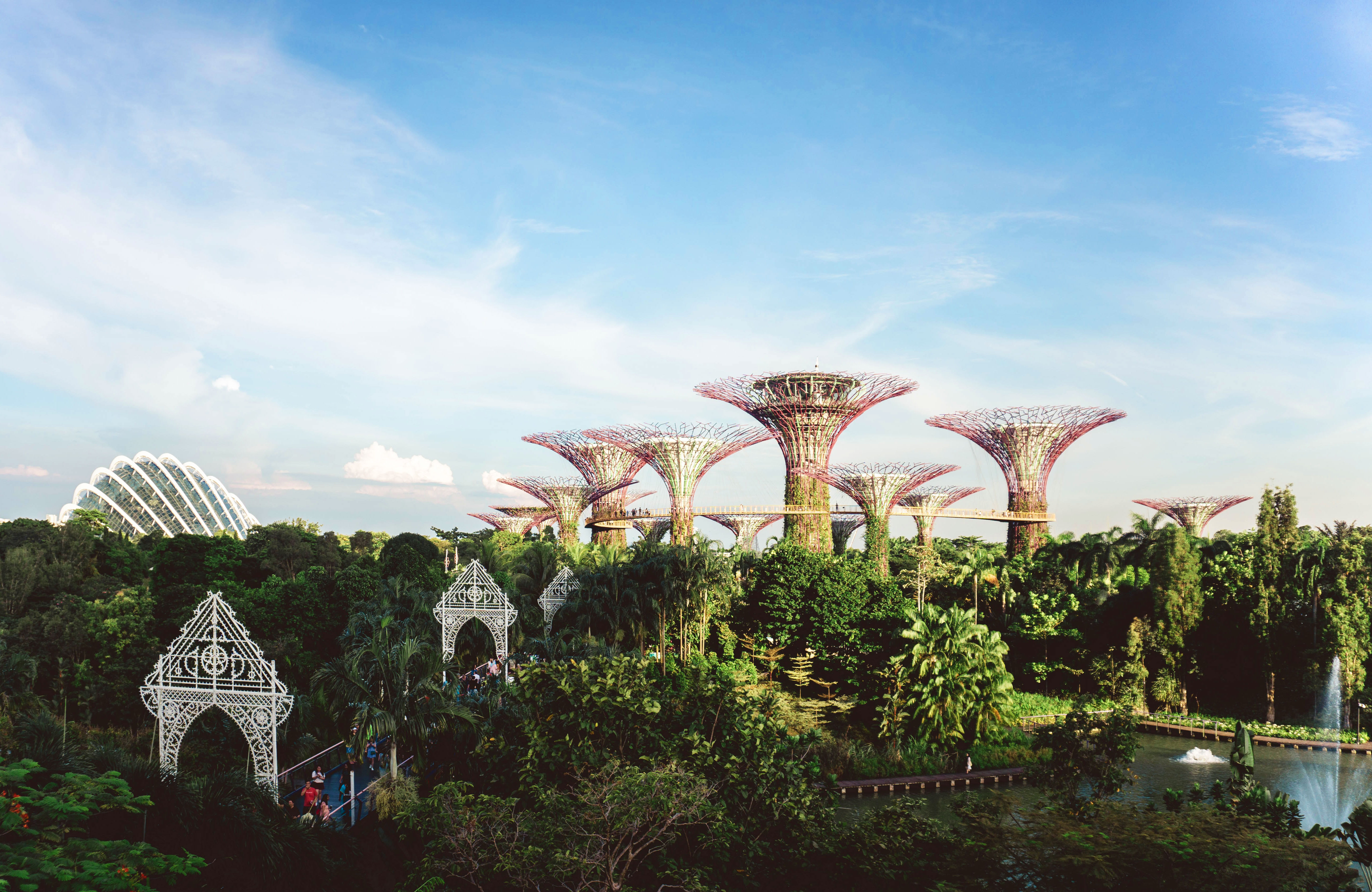 Singapore View Of The Gardens By The Bay