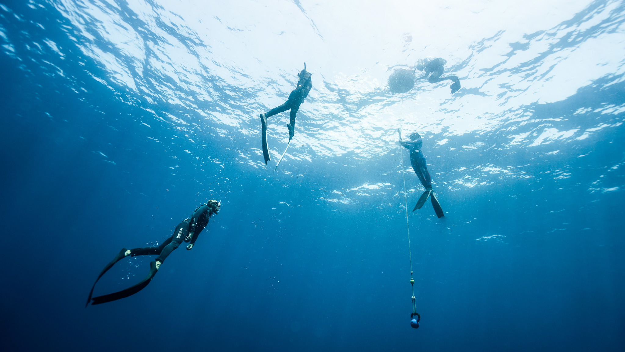 Duiken in Australië - KILROY