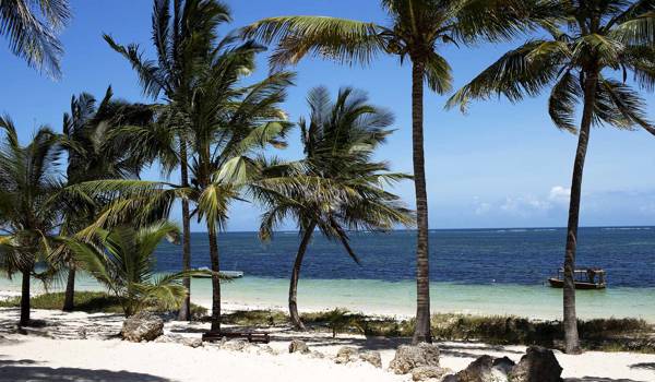 mombasa-kenya-beach-indian-ocean-palm-trees-cover