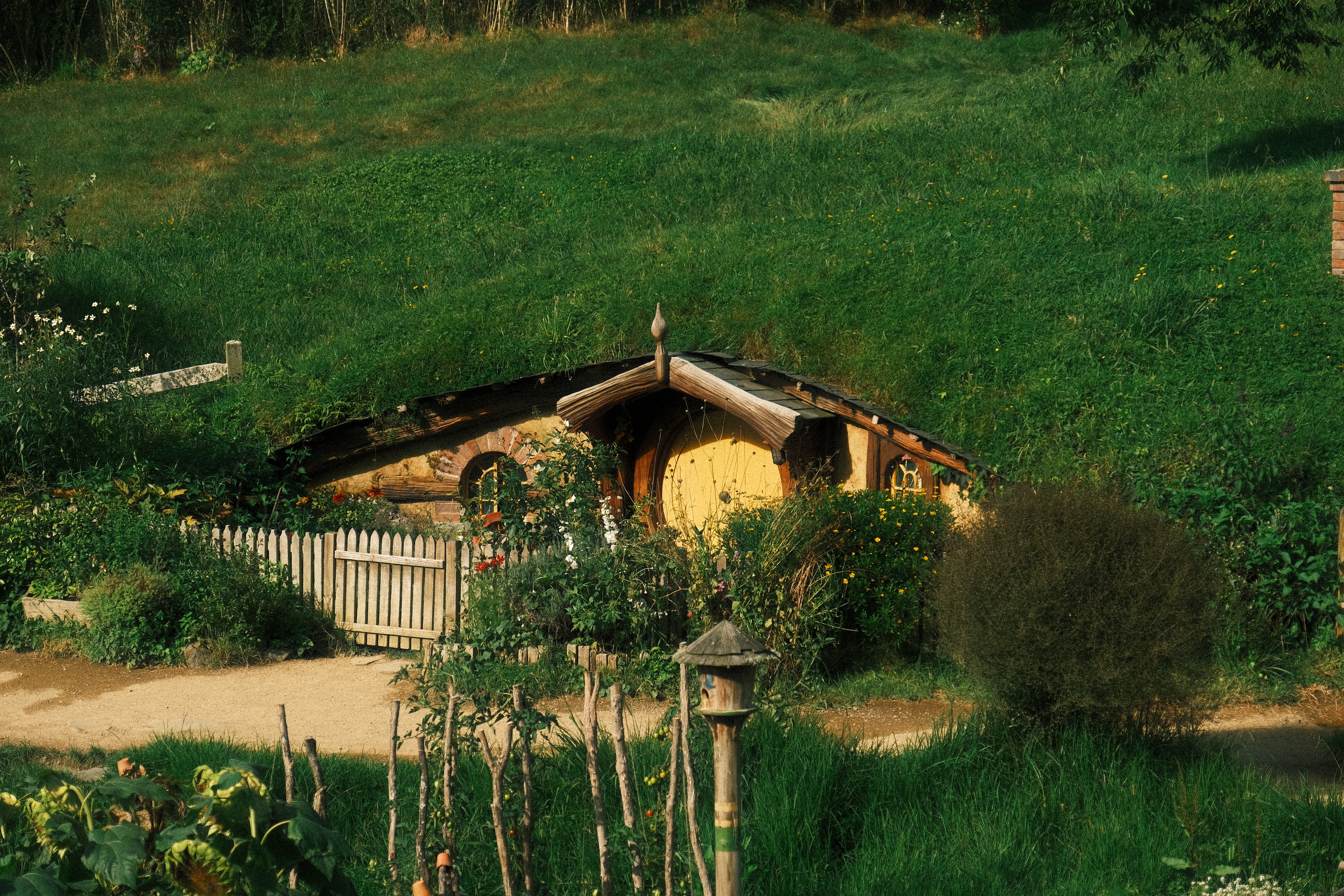 Hobbit-hole in Hobbiton Movie Set tussen de groene heuvels van Nieuw-Zeeland.