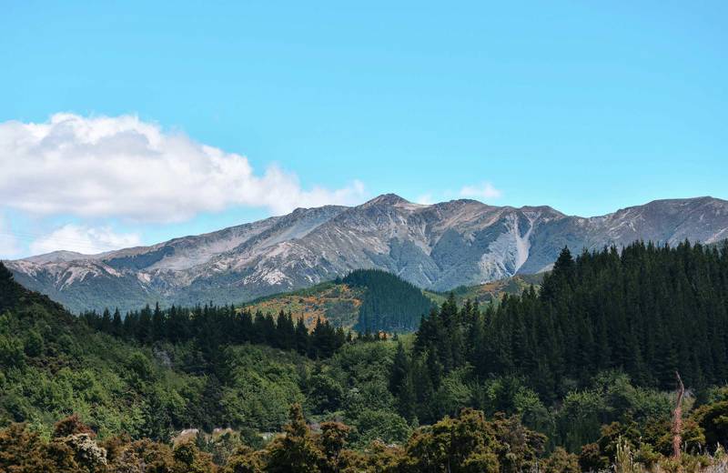 Uitzicht over bossen met in de verte een gebergte in Nieuw-Zeeland