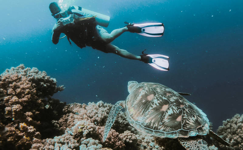 Duiker met een zeeschildpad in de oceaan in de Filipijnen
