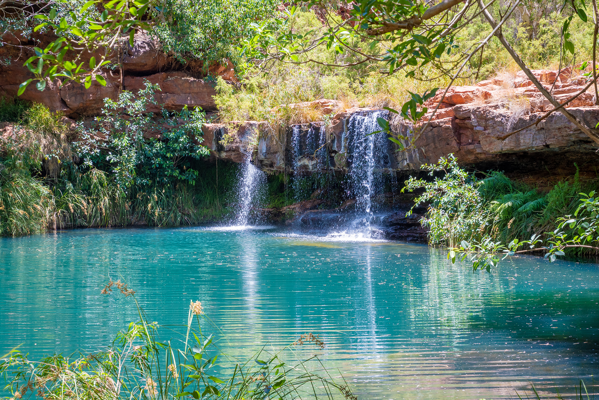 Fern Pool in Karijini National Park, Australië 