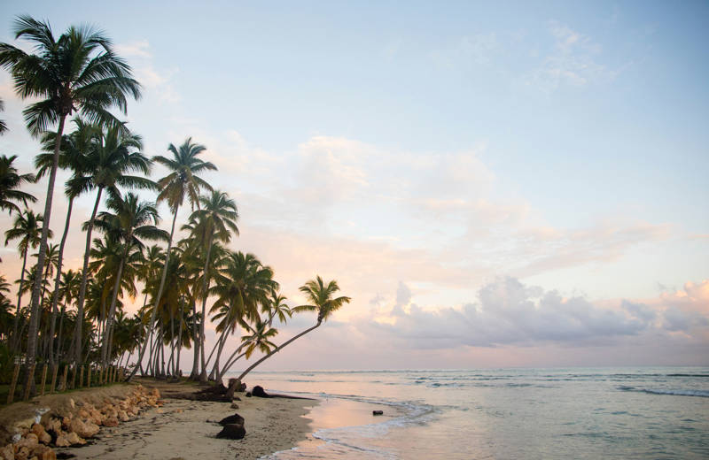 Tropisch strand bij Las Terrenas in de Dominicaanse Republiek