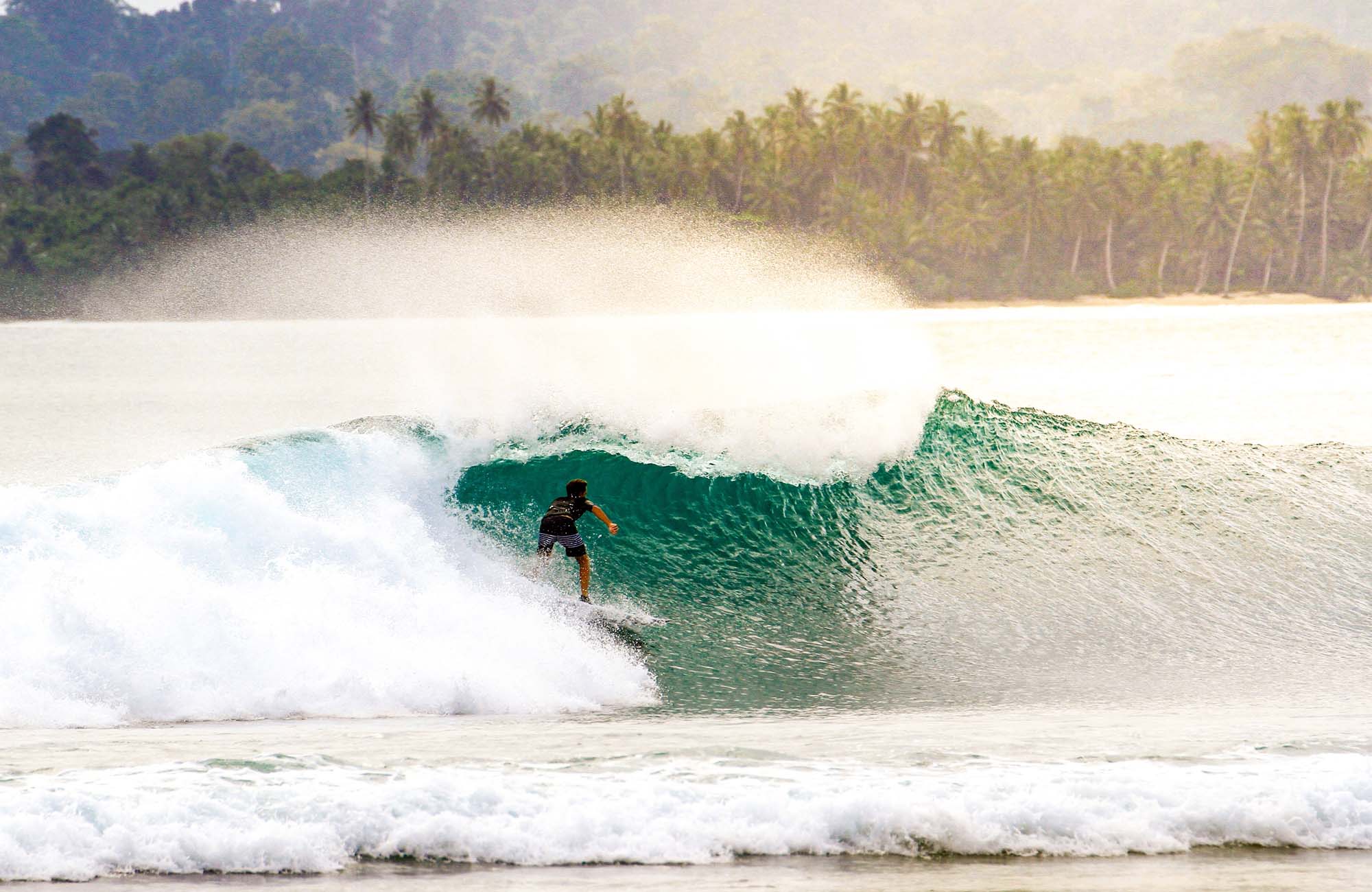 surfing-man-tropical-cover