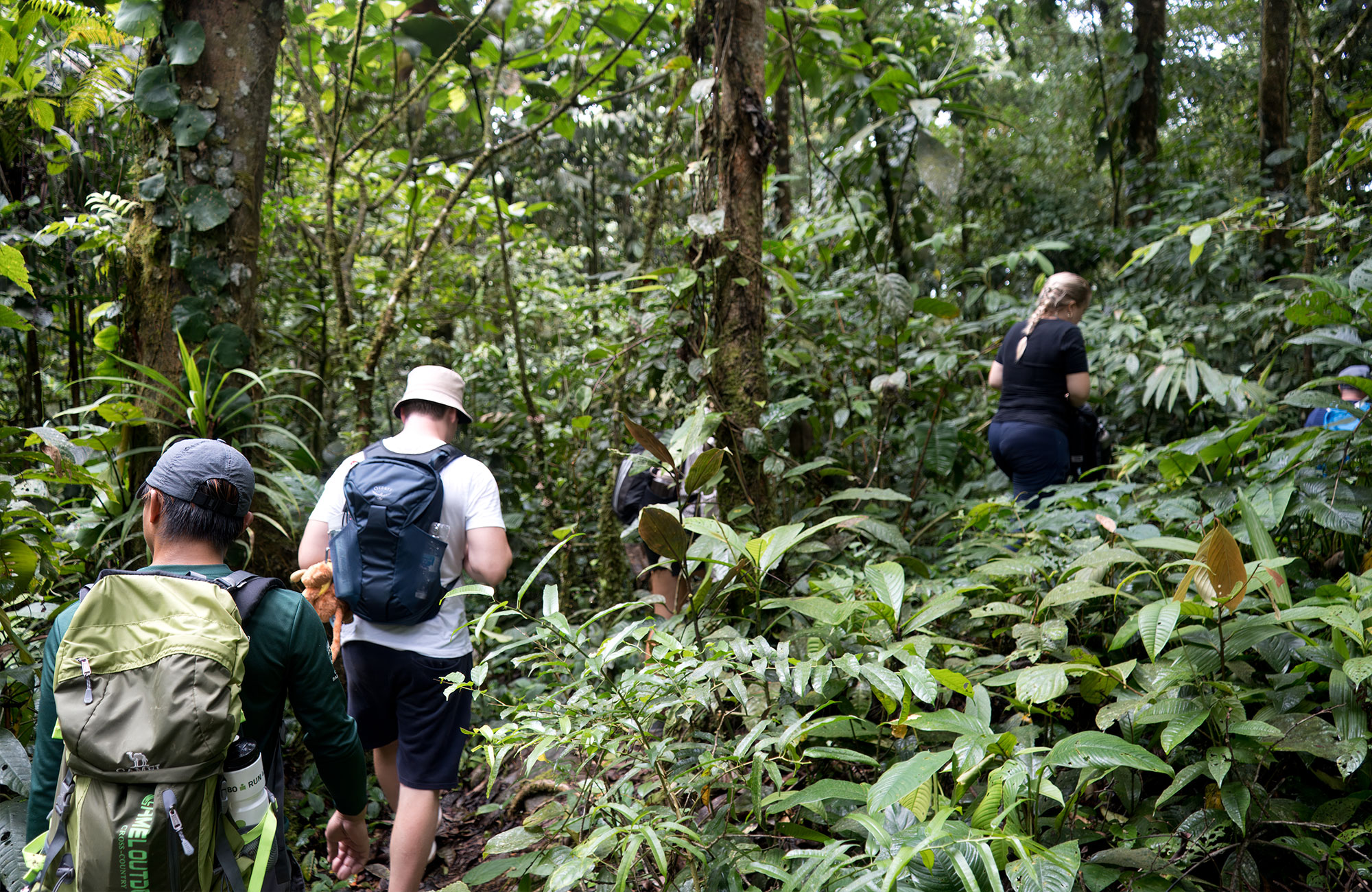 Malaysia Borneo Freja