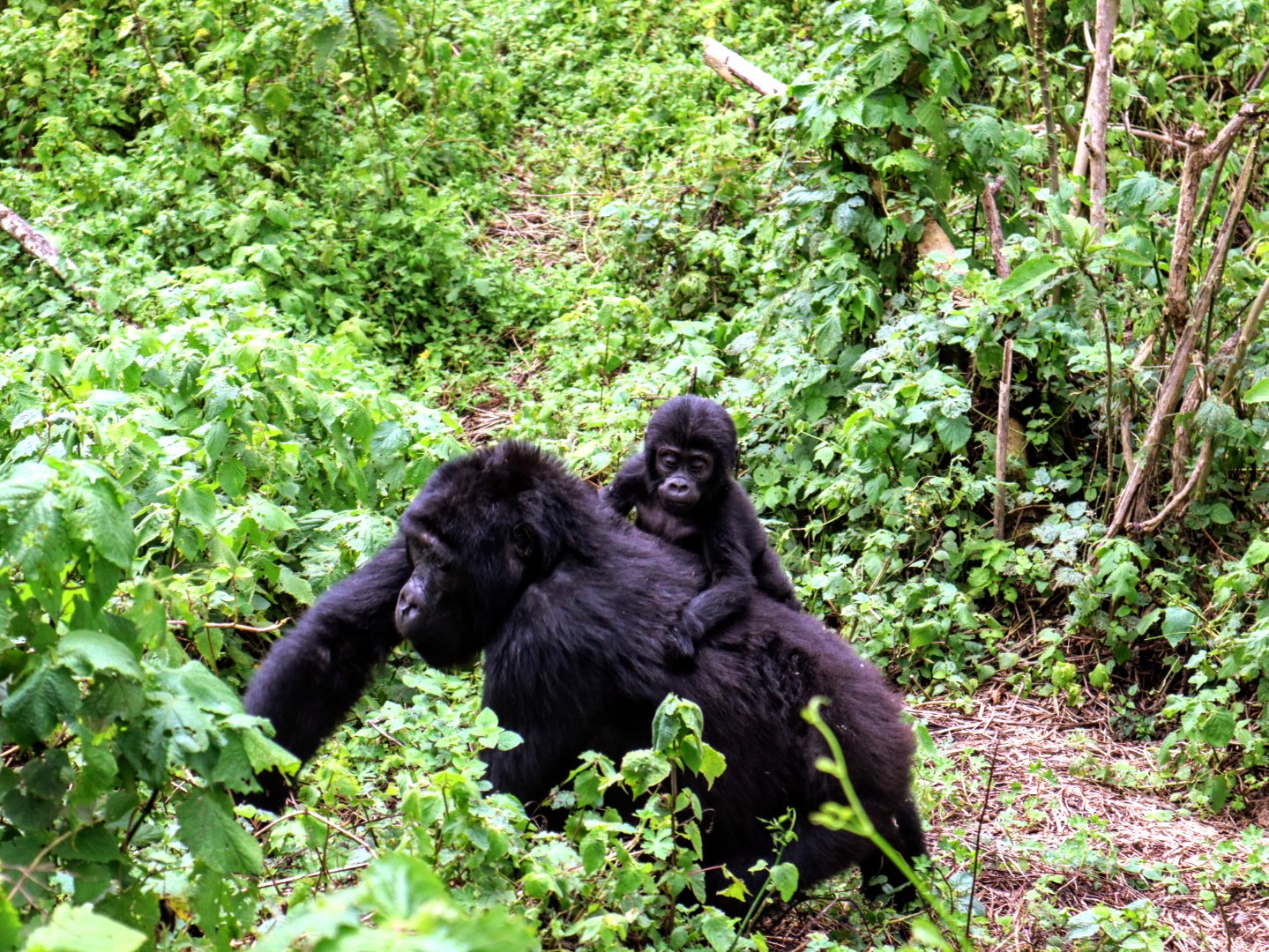 20230909102755 IMG 0938~2