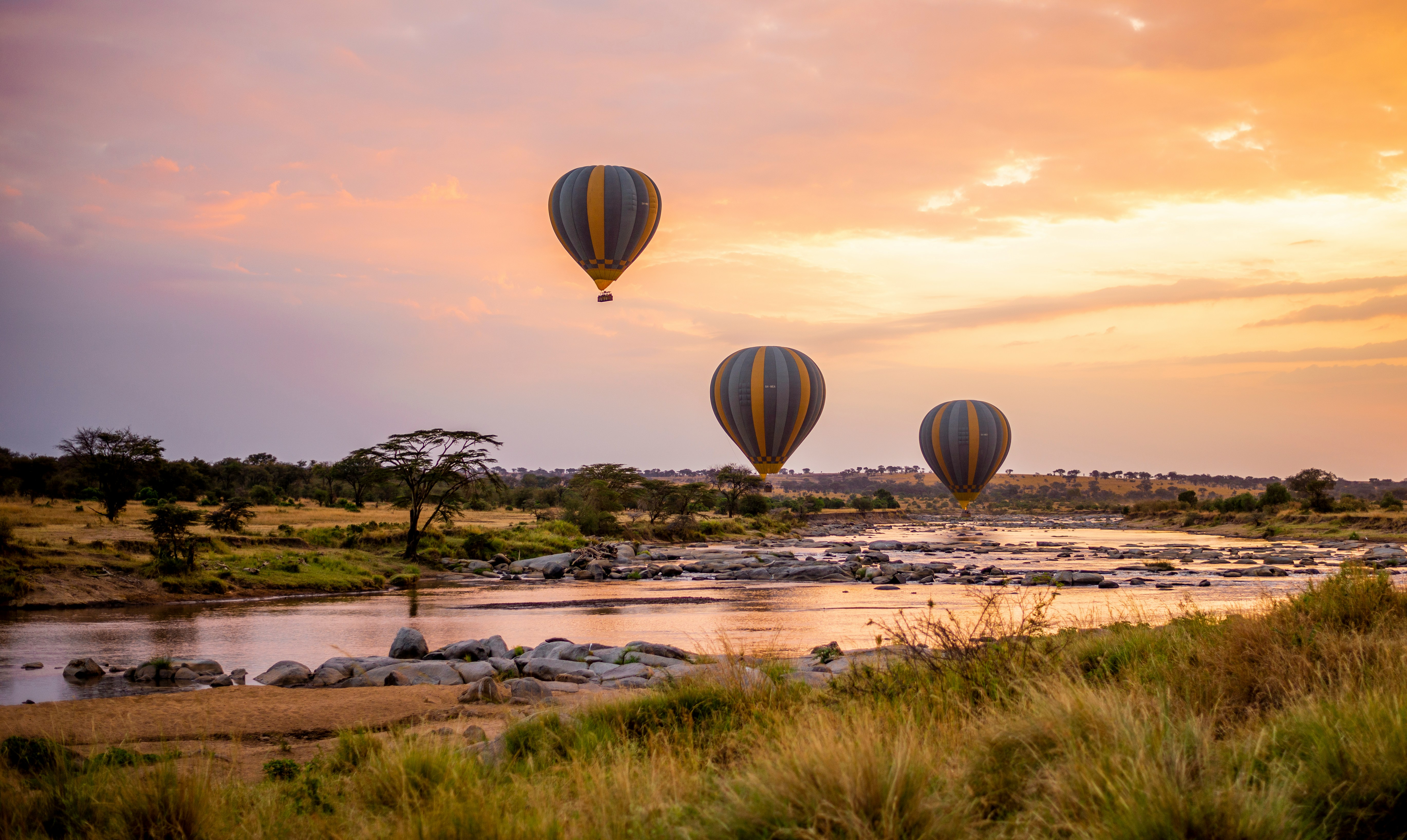 Afbeelding van heteluchtballonnen die opstijgen boven de Serengeti in Tanzania - KILROY
