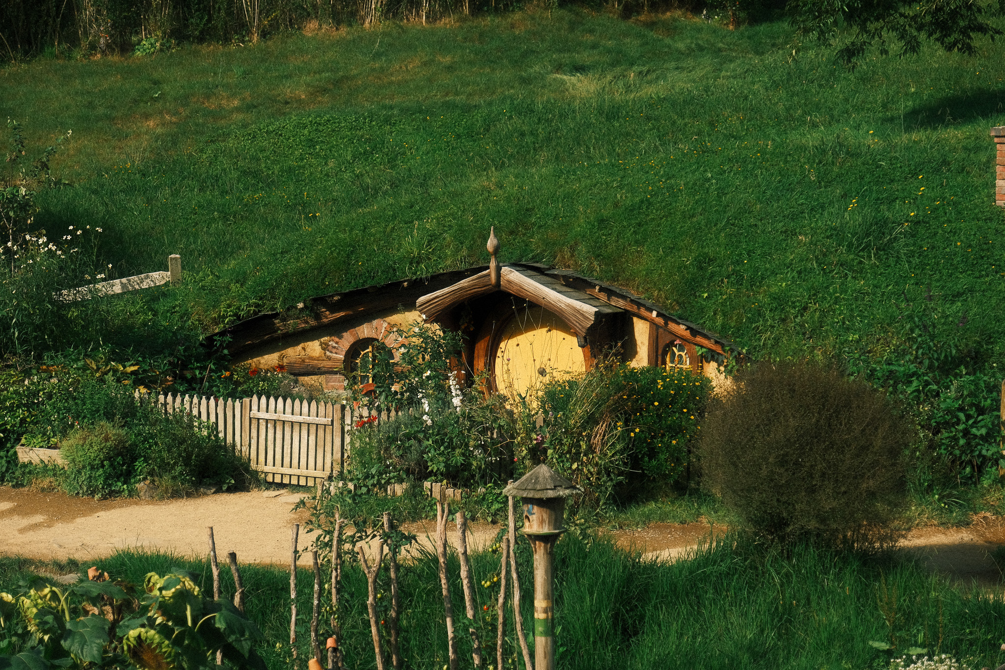 Hobbitwoning met ronde deur, omringd door groen en gebouwd in een grasheuvel in Hobbiton, Nieuw-Zeeland.