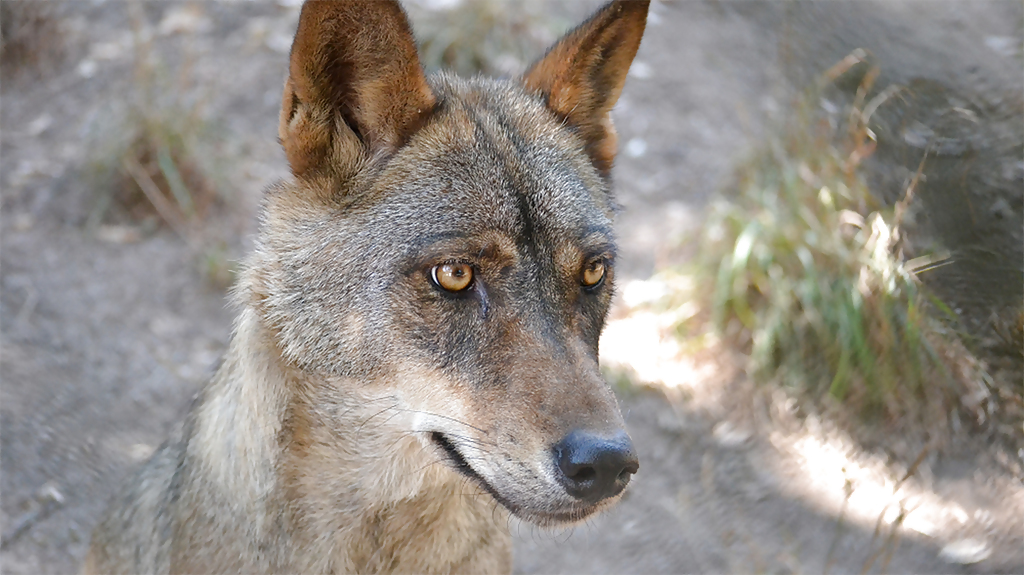 gardunha-1_1280x720_for_navi_web