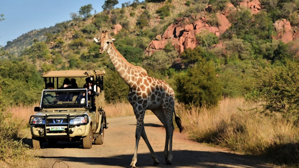 pilansberg__1280x720_for_navi_web