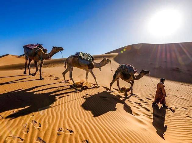 MarrakechCityAndDesert5D_CamelRide_Provider