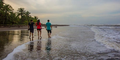 87f10dcc23939ca849f91d4763139123