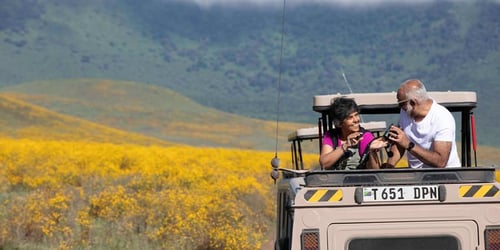 a9f3f56f8637c8eb2a33194814d6590e