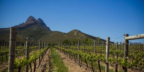 25dcf35a1271b07f4b81cd21ecee6674