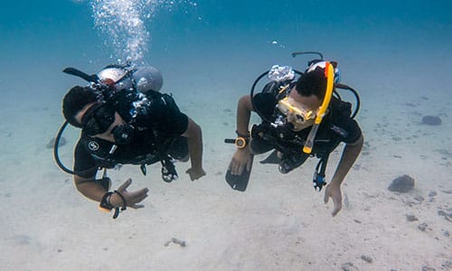 1_bv-product-XML_0000s_0004__DSC0577