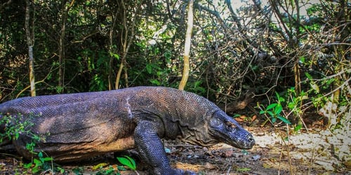 7518e8d99243ceb04bd4ad115a795d74