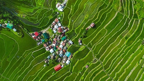 ttt6d-banwander_3_1280x720_for_navi_web