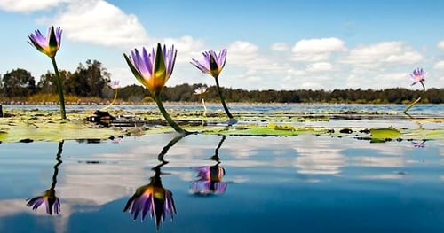 19128-1664006d-8981-4b1d-b74e-1d33d48ff142-thumbnail