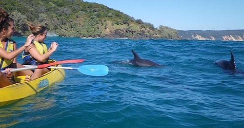 34548-a509d356-056f-4aac-8090-8fa60dd07cca-thumbnail