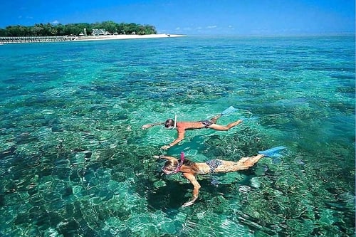 cham-island-sightseeing-snorkeli