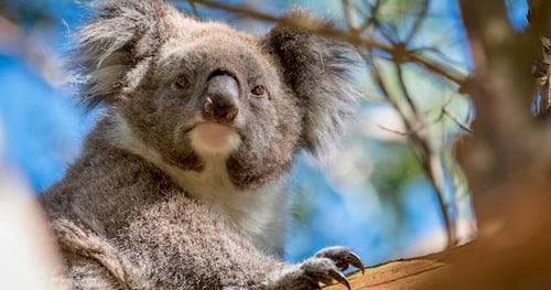 35486-12bbdc79-a31e-409a-a46f-09acd46fdff6-thumbnail