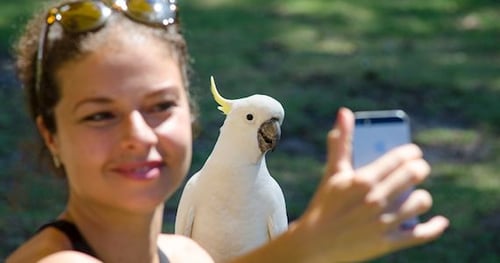 35488-13189c18-9bf4-440c-8fb3-5f7b17556b2f-thumbnail