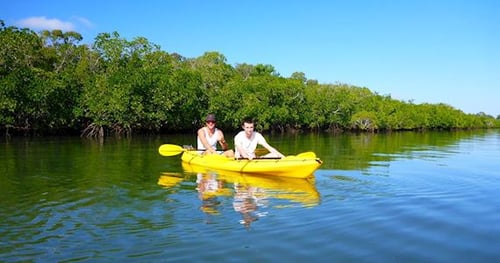 34551-cb2d6efb-a92f-4066-b909-784bf750f32f-thumbnail